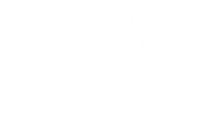 Logo_karina_alem
